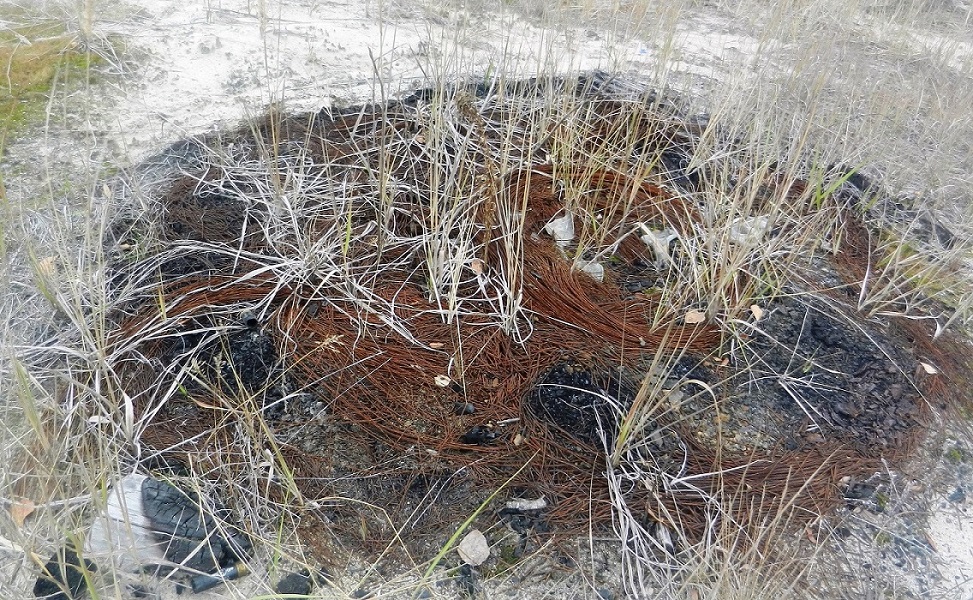 Песчаные карьеры Электрогорска, изображение ландшафта.