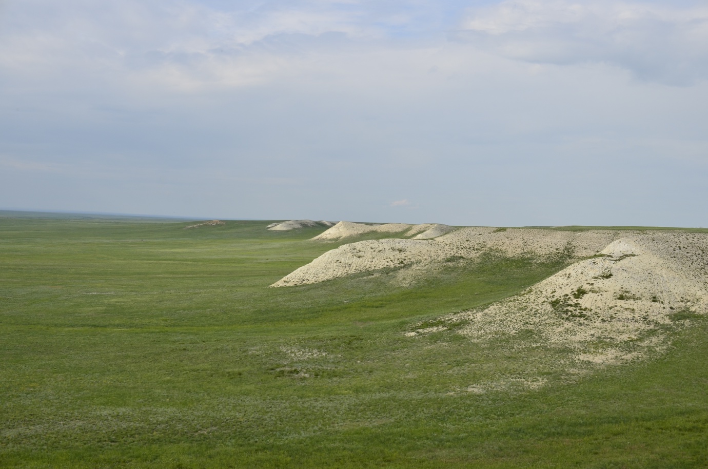 Верхнечебендинские меловые горы, image of landscape/habitat.