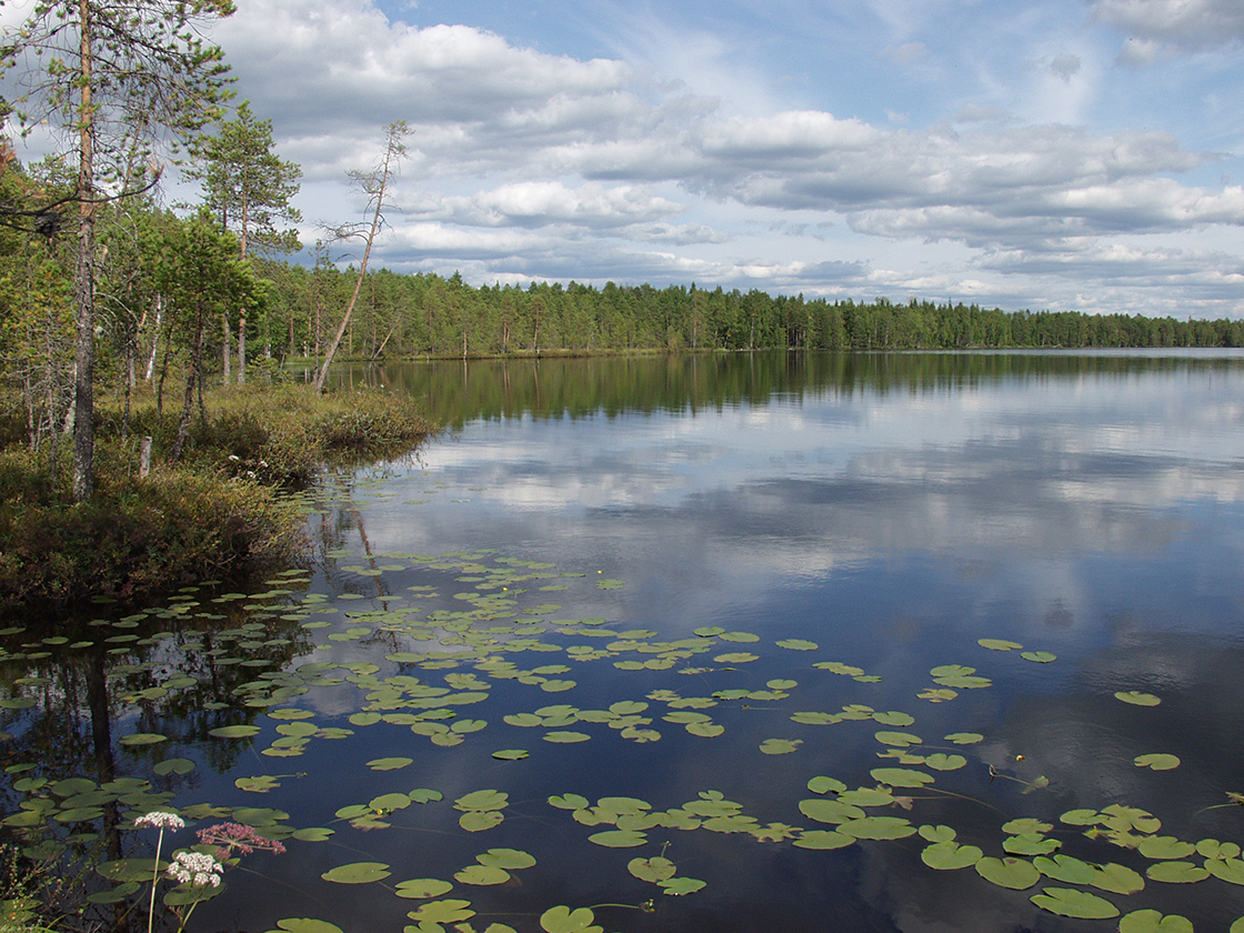 Акичкин Починок, image of landscape/habitat.