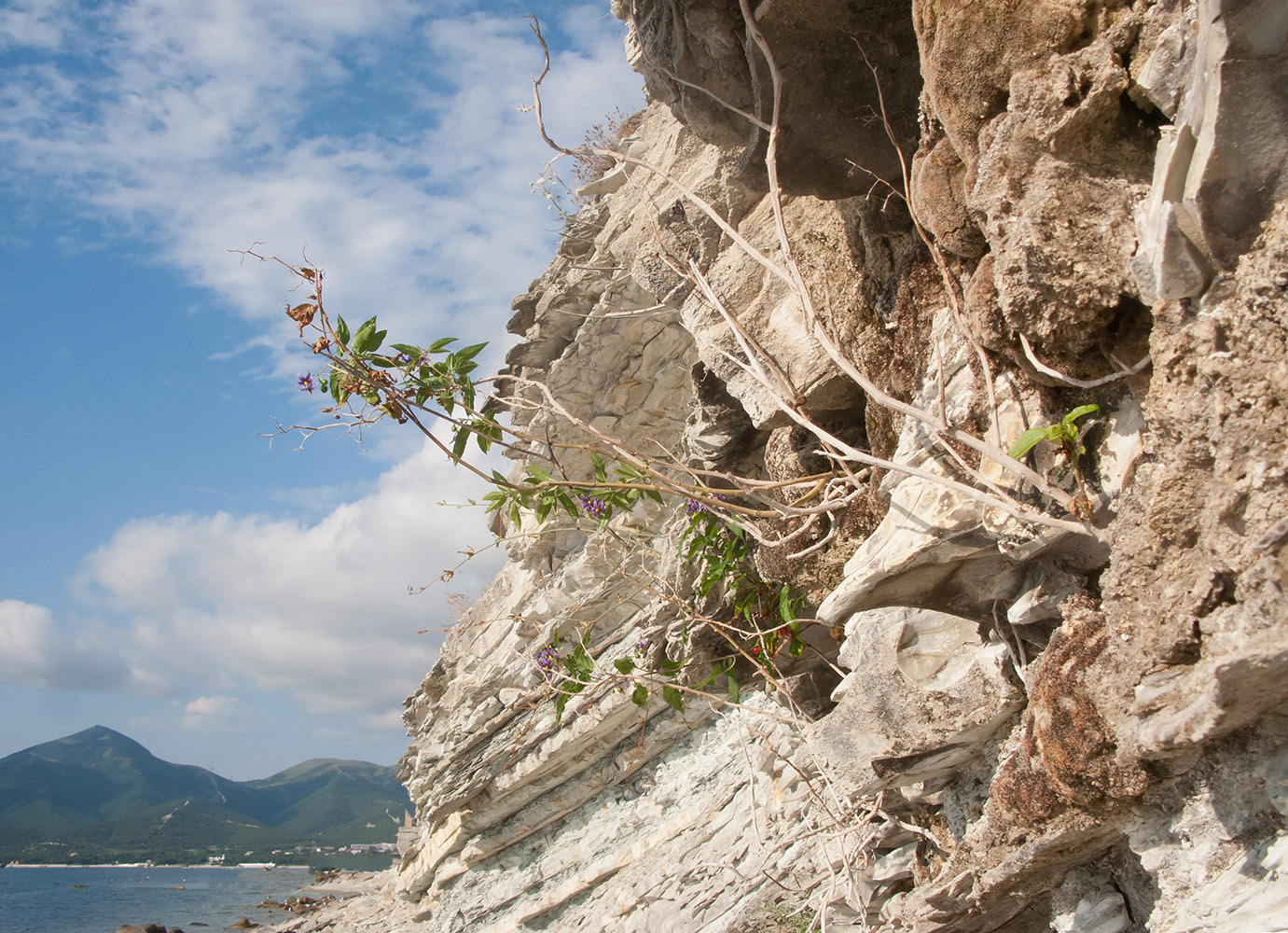 Дооб, image of landscape/habitat.