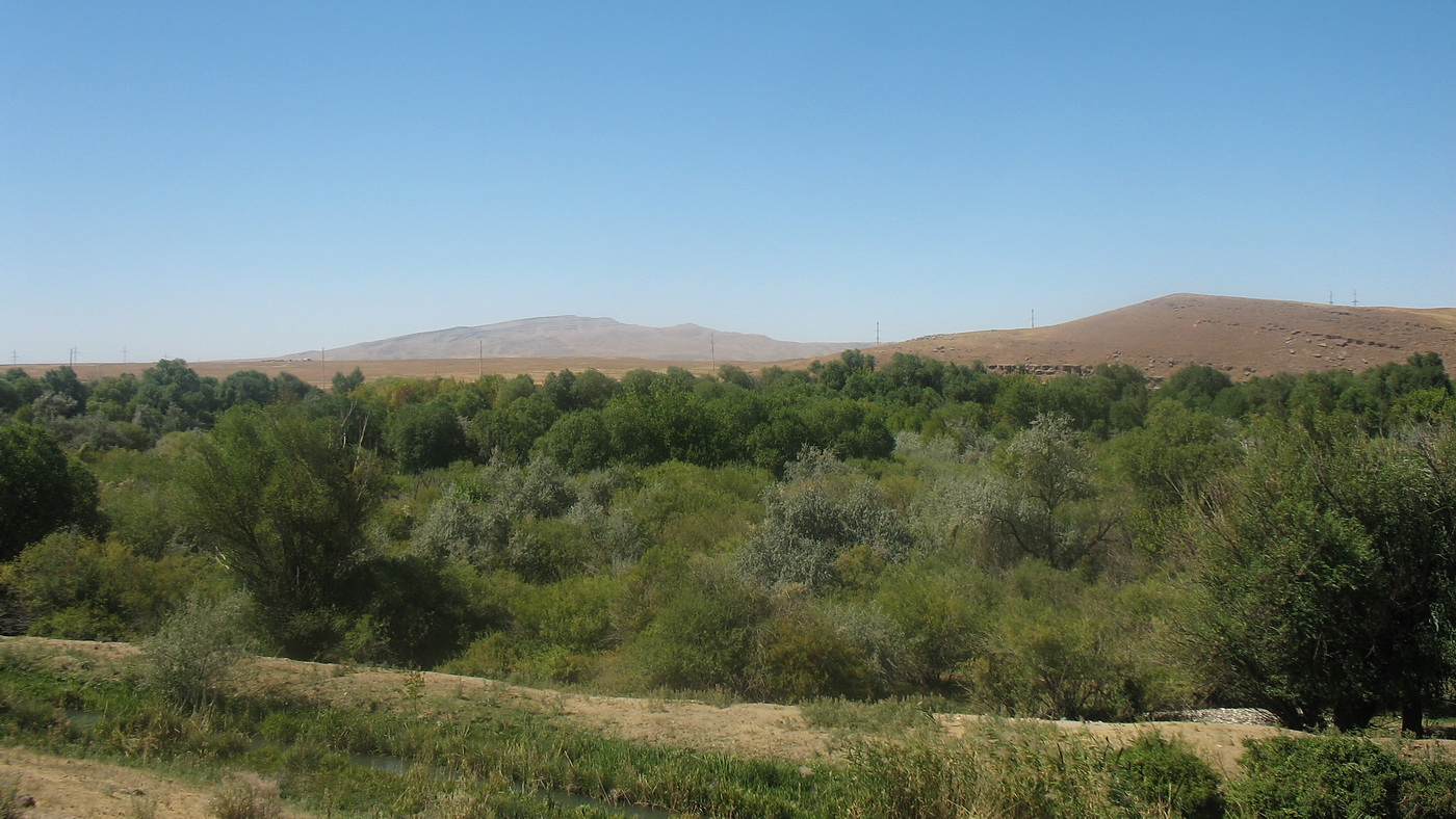 Асса, image of landscape/habitat.