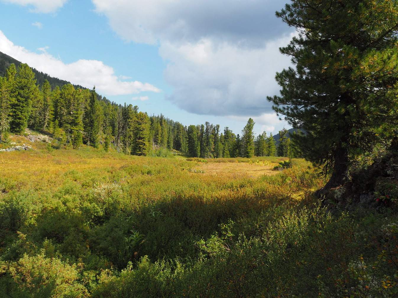 Чёрное озеро, image of landscape/habitat.