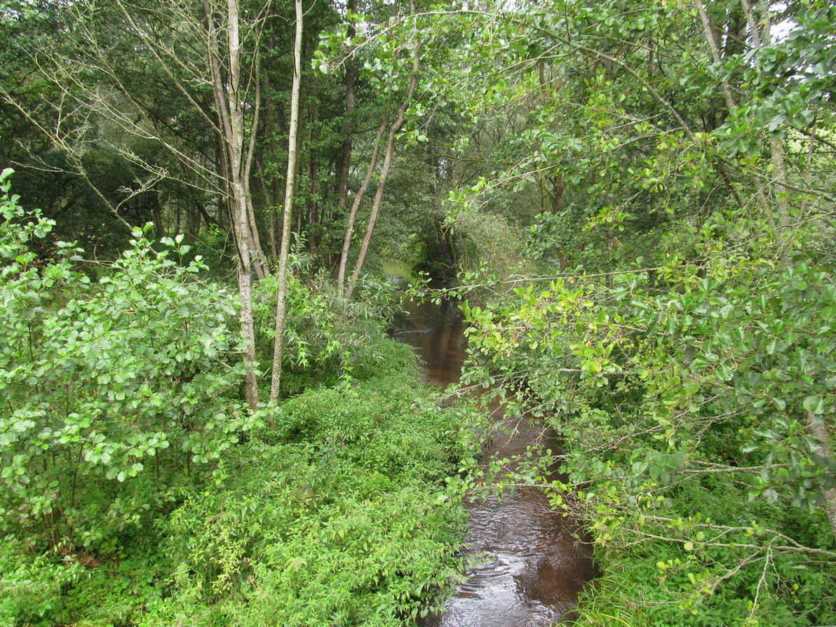 Река Негримовка, изображение ландшафта.