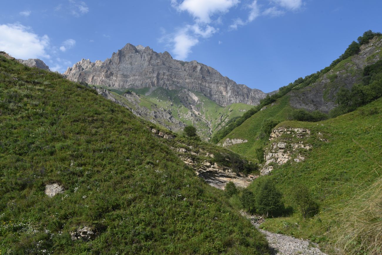 Выше водопада Цеси, image of landscape/habitat.