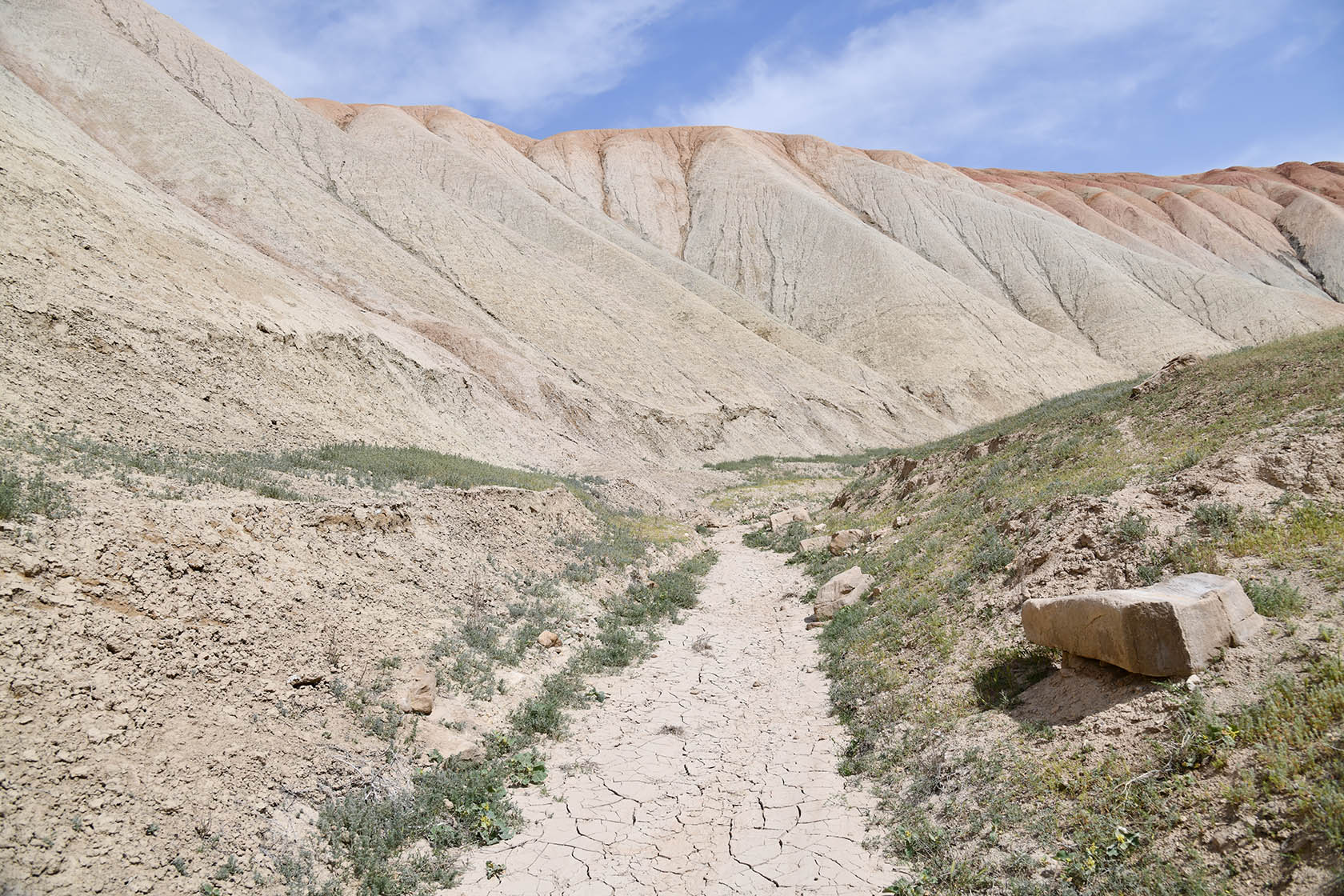 Перевал Дандан-Чикан, image of landscape/habitat.