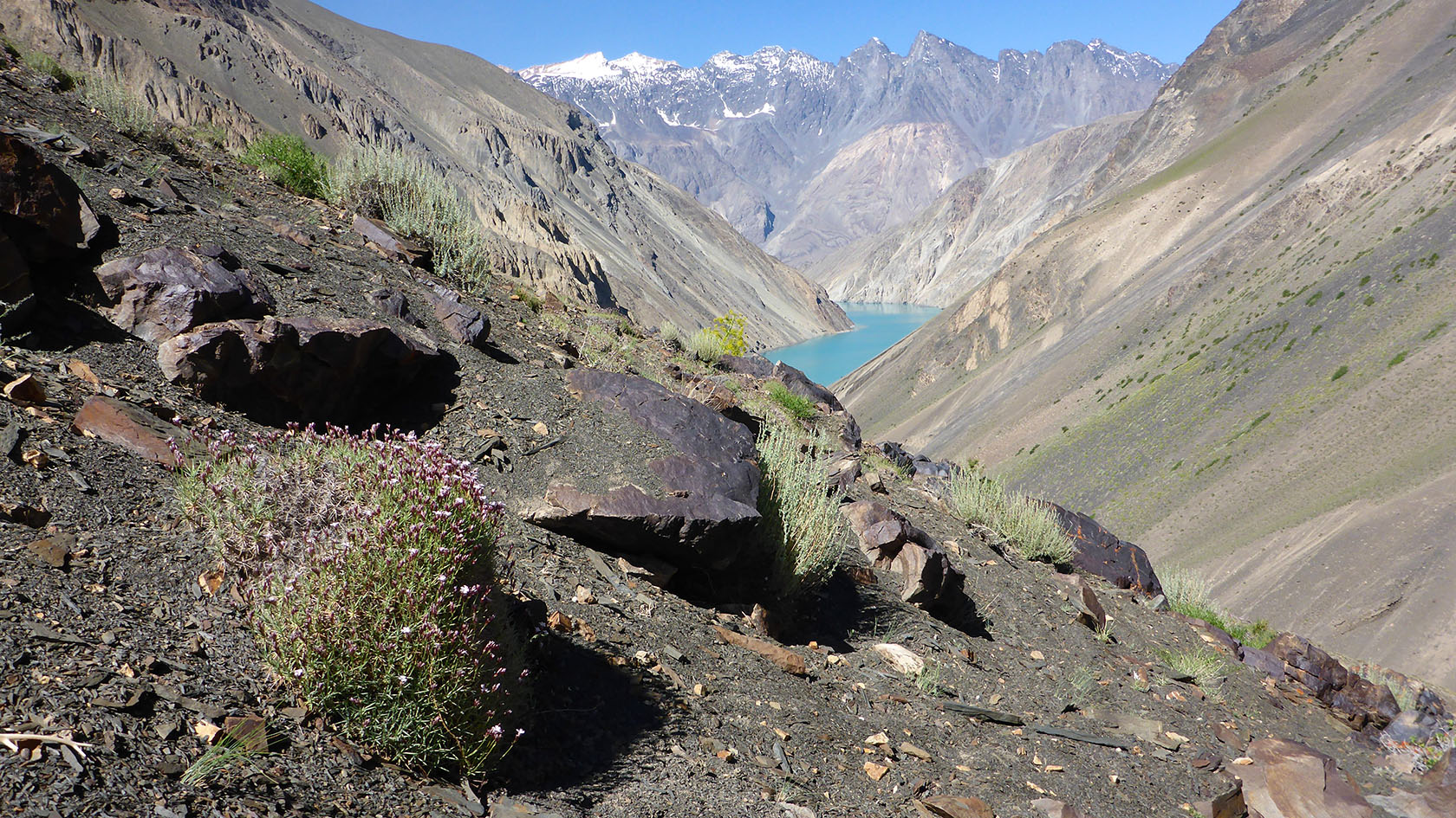 Шадау, image of landscape/habitat.