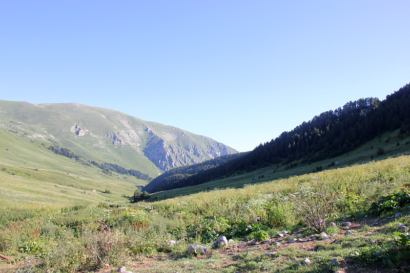 Верхняя Цица, image of landscape/habitat.