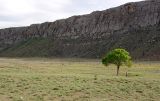 Image of landscape