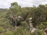 Голубые горы, image of landscape/habitat.