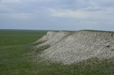 Верхнечебендинские меловые горы, image of landscape/habitat.