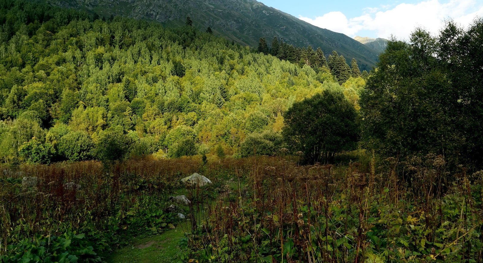 Домбай-Ульген, image of landscape/habitat.