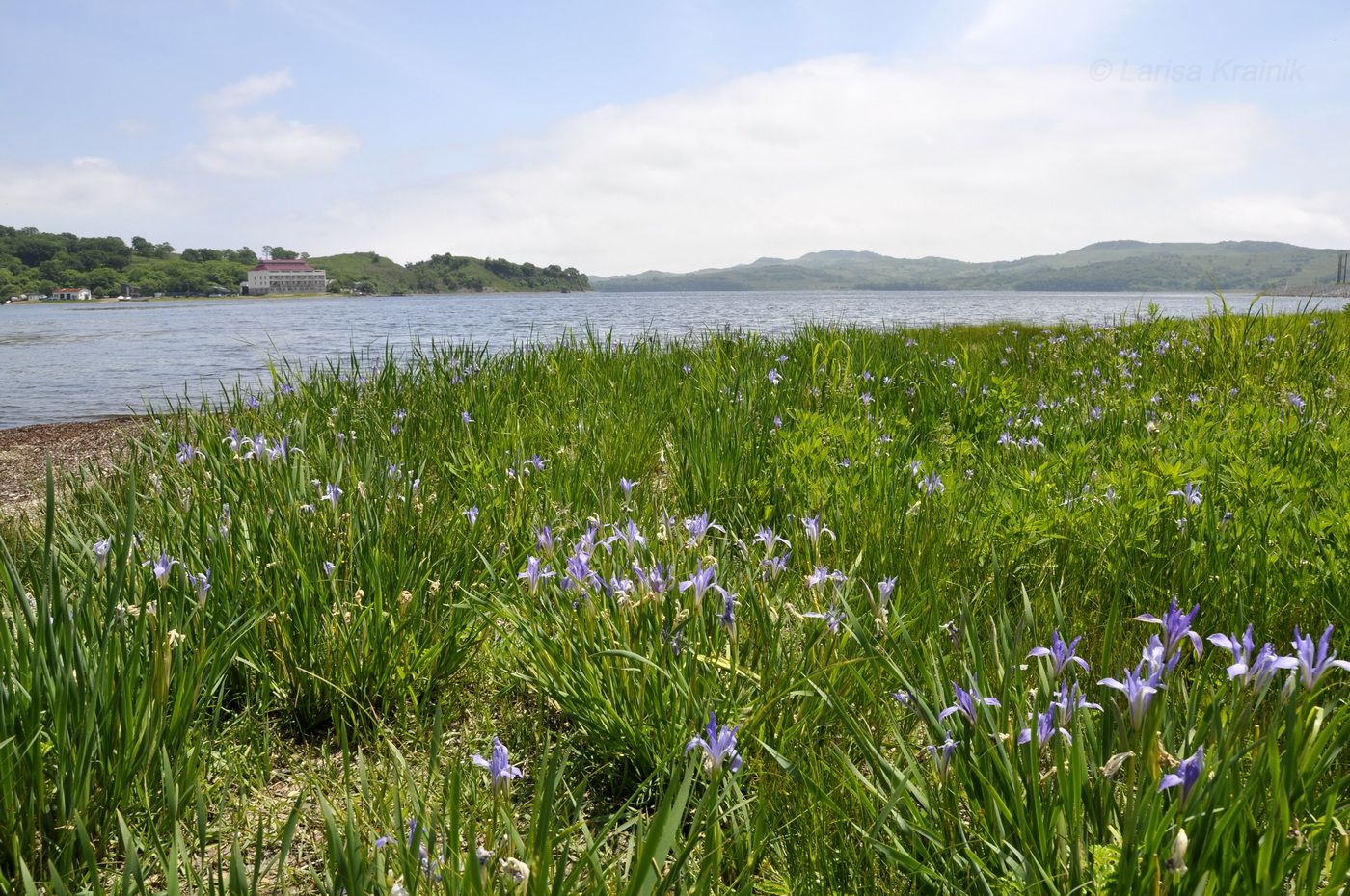 Посьет, image of landscape/habitat.