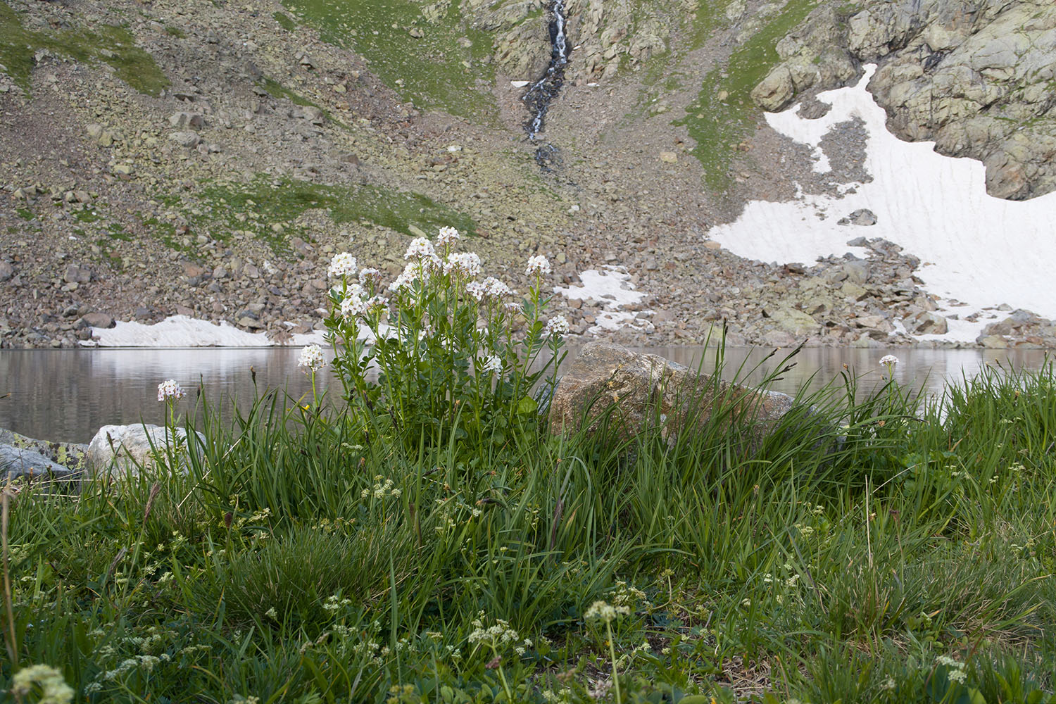 Озеро Географов, image of landscape/habitat.