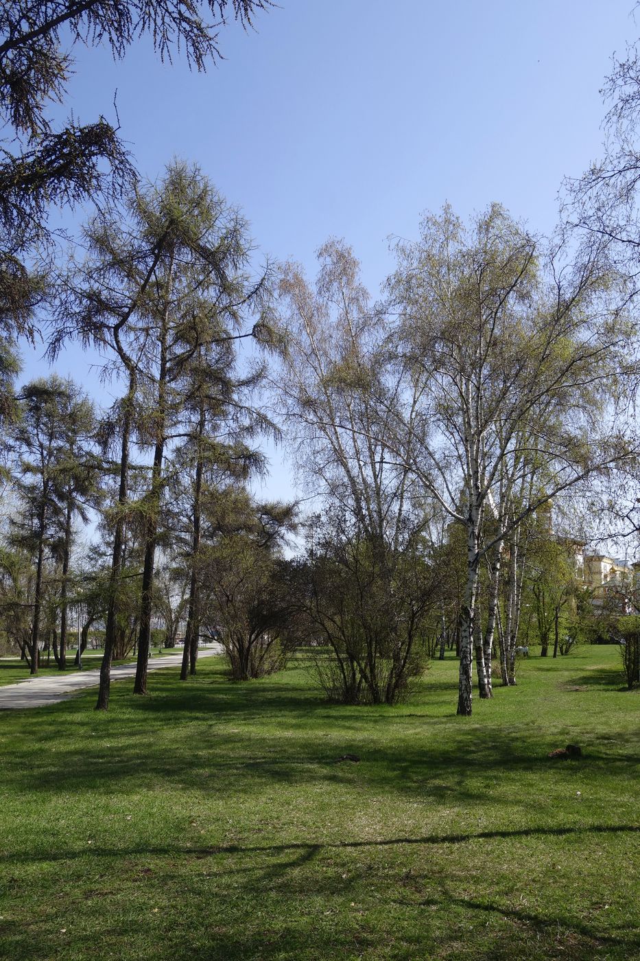 Иркутск, image of landscape/habitat.