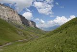 Image of landscape