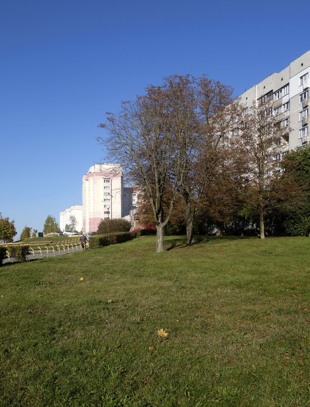 Девятовка, image of landscape/habitat.