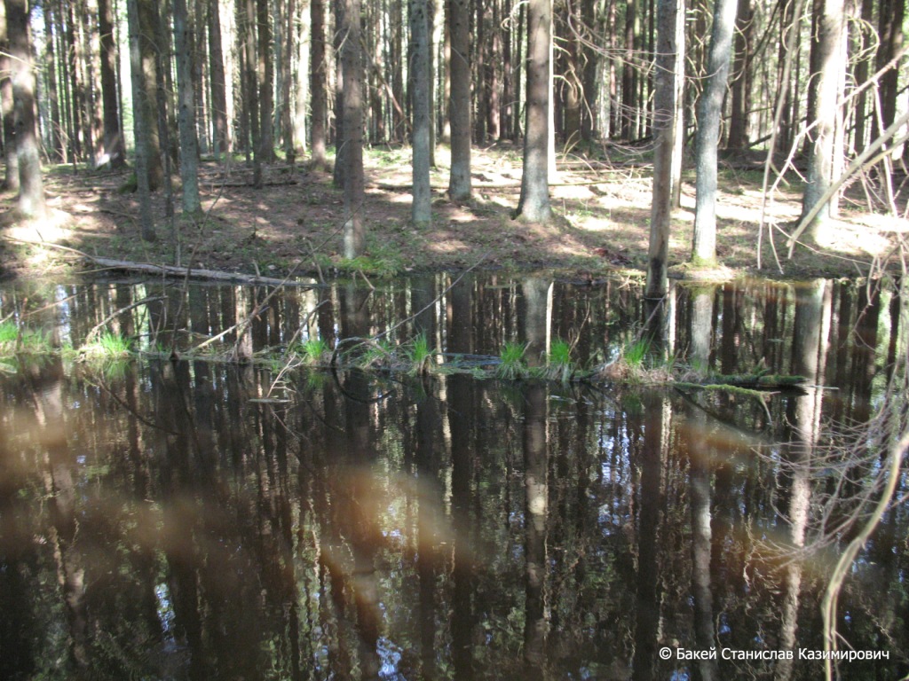 Селец, image of landscape/habitat.