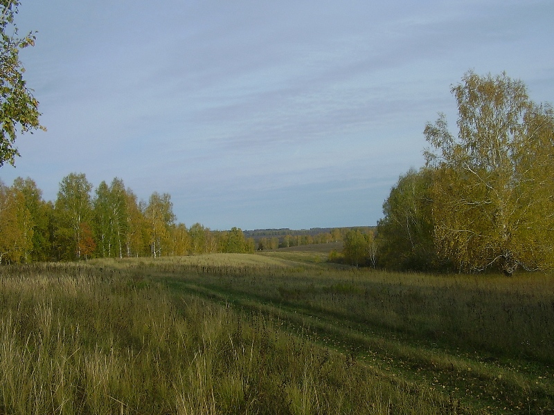 Титов Лог, image of landscape/habitat.