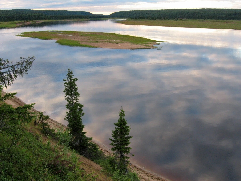 Низовья Варзуги, image of landscape/habitat.