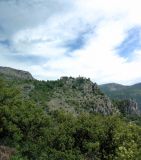 Image of landscape