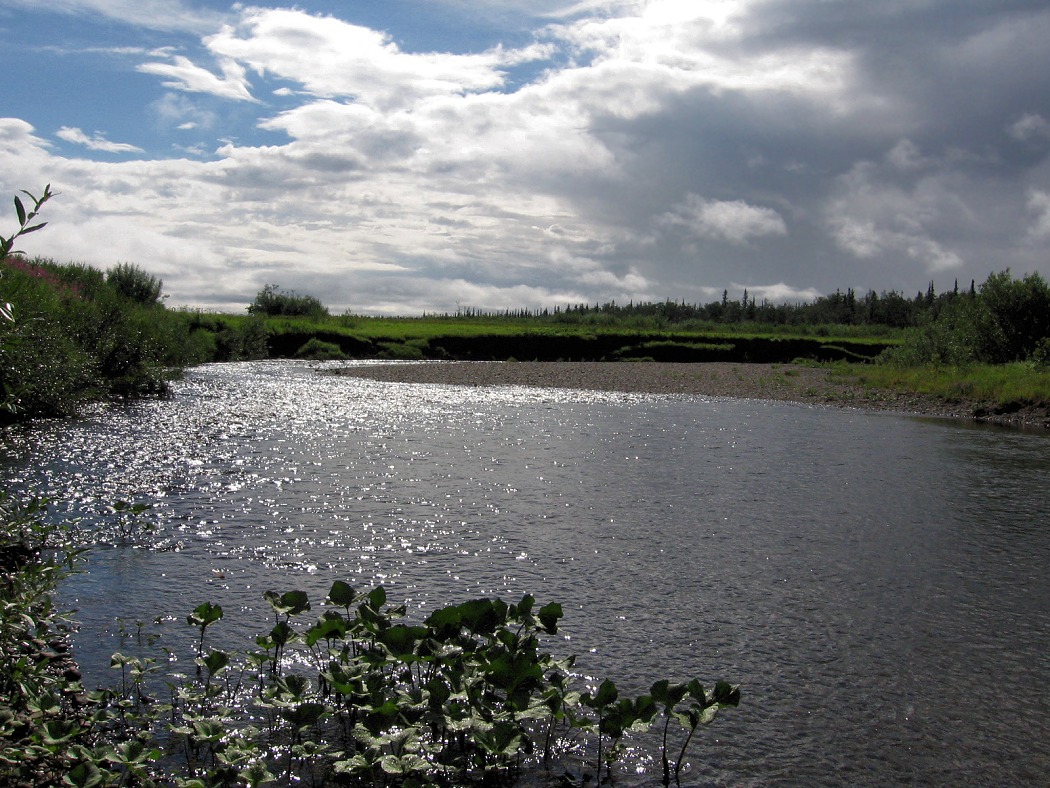 Грубею, image of landscape/habitat.