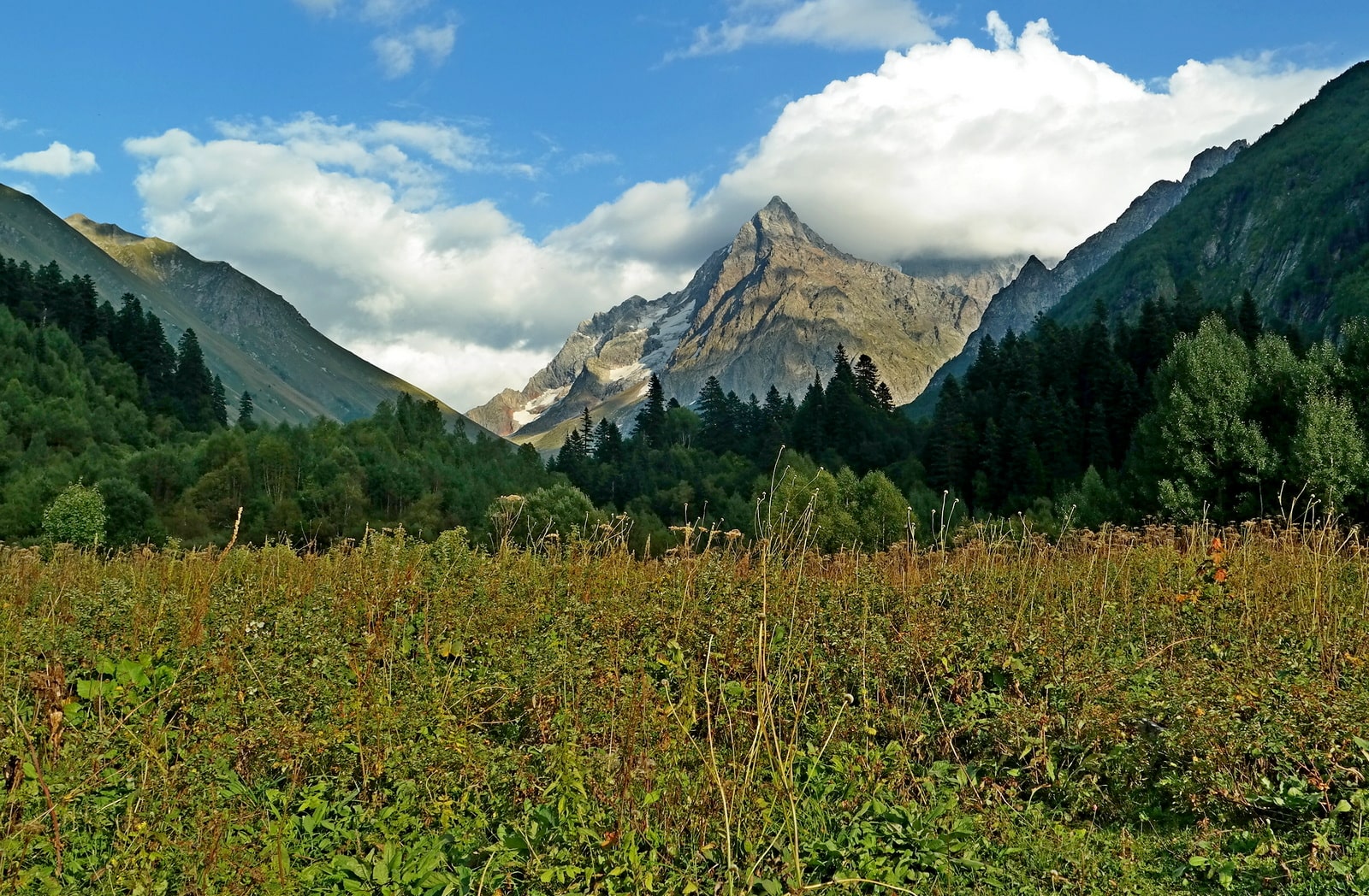 Домбай-Ульген, image of landscape/habitat.