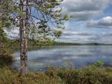 Image of landscape