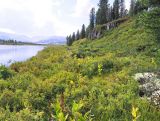 Чёрное озеро, image of landscape/habitat.