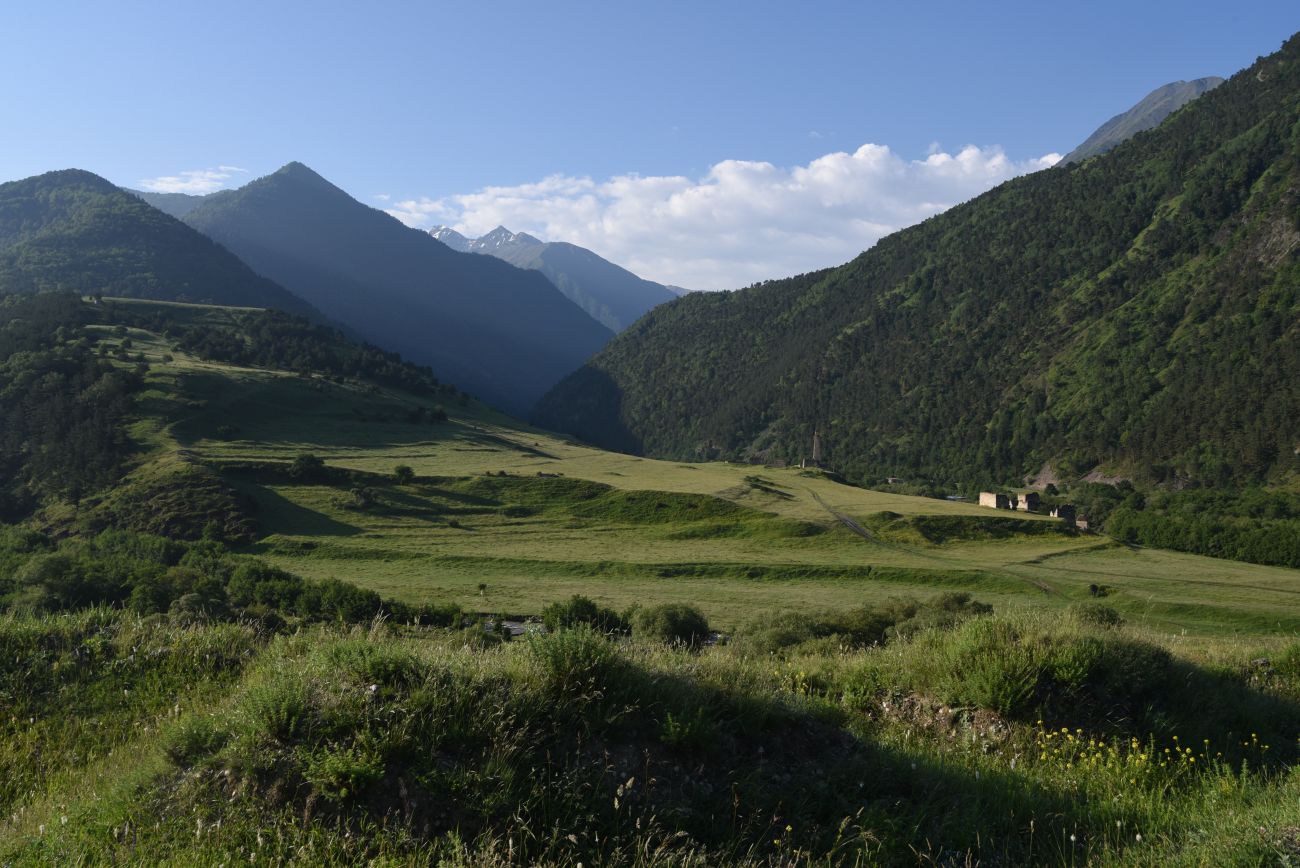 Урочище Пуй, image of landscape/habitat.