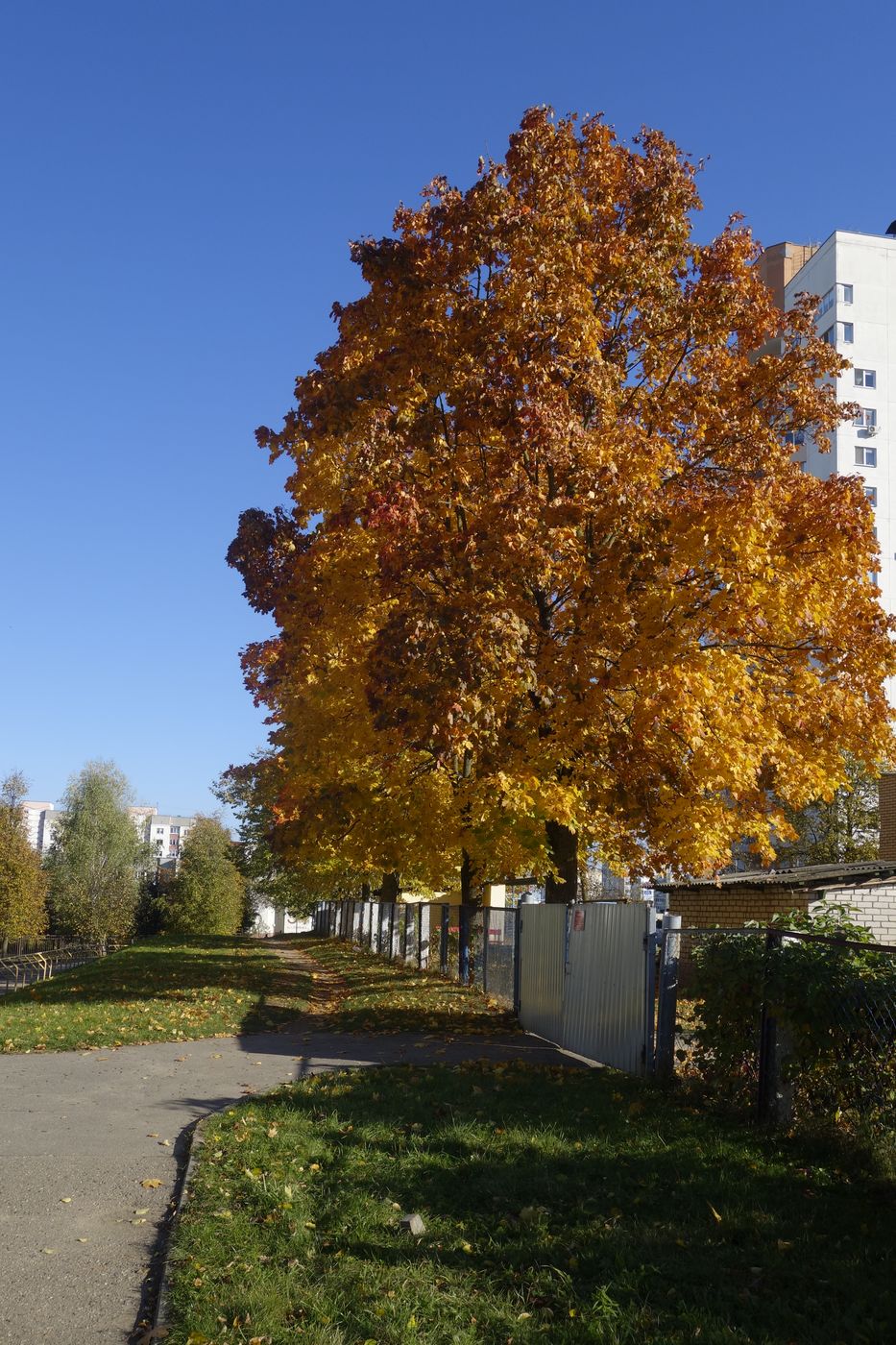 Девятовка, image of landscape/habitat.