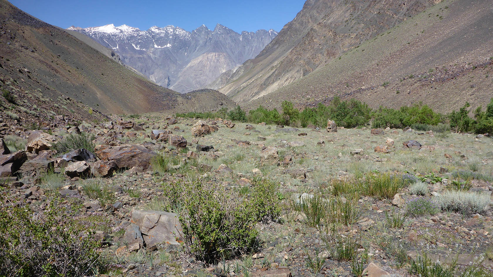 Шадау, image of landscape/habitat.