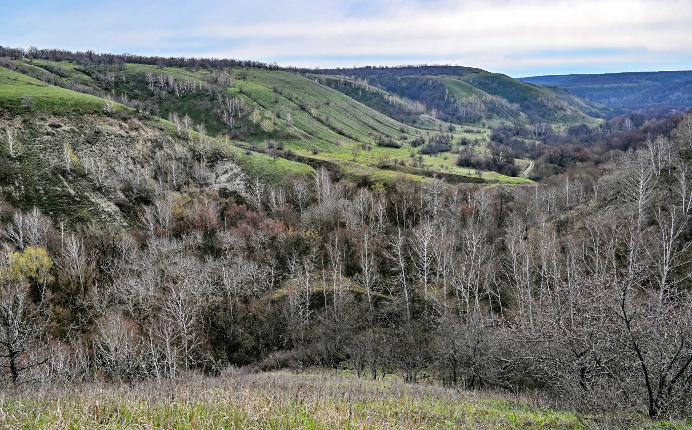 Природный парк "Щербаковский", image of landscape/habitat.