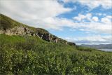 Image of landscape