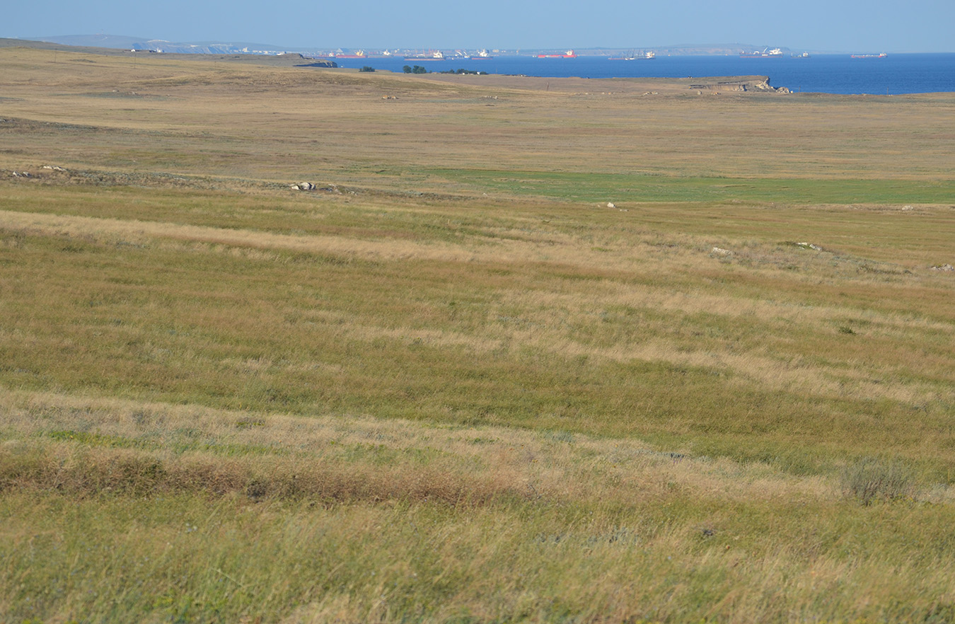 Окр. Яковенково, image of landscape/habitat.