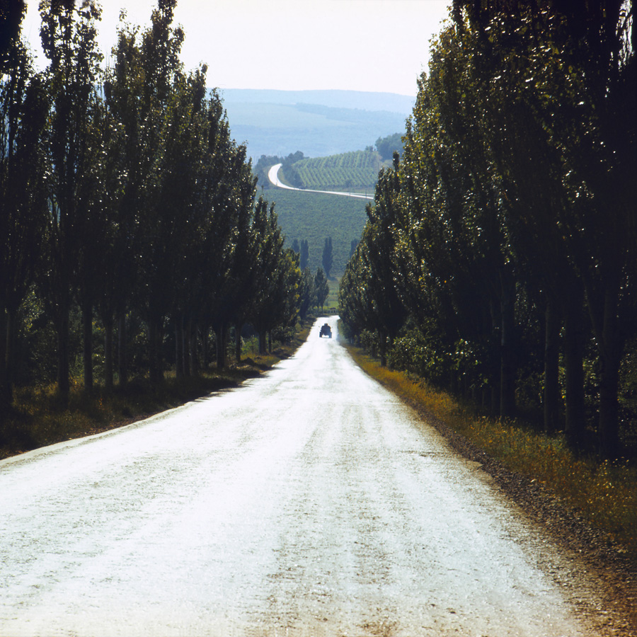 Трасса на Романешты, image of landscape/habitat.