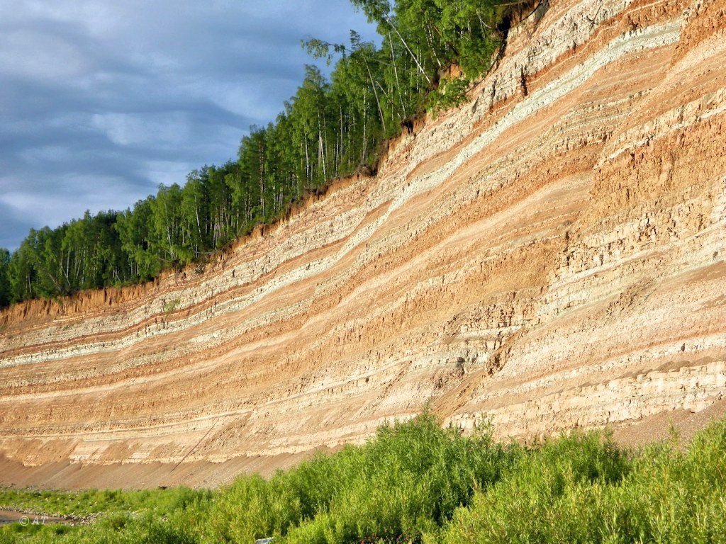 Устье Стрельны, image of landscape/habitat.