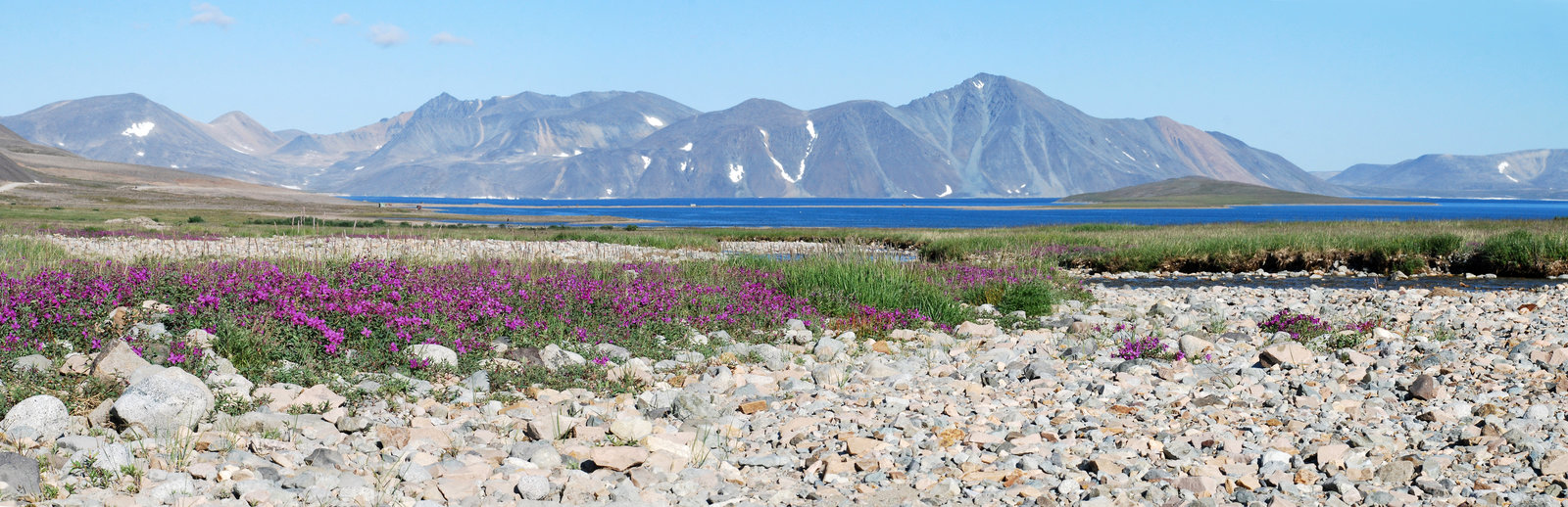 Бухта Провидения, image of landscape/habitat.