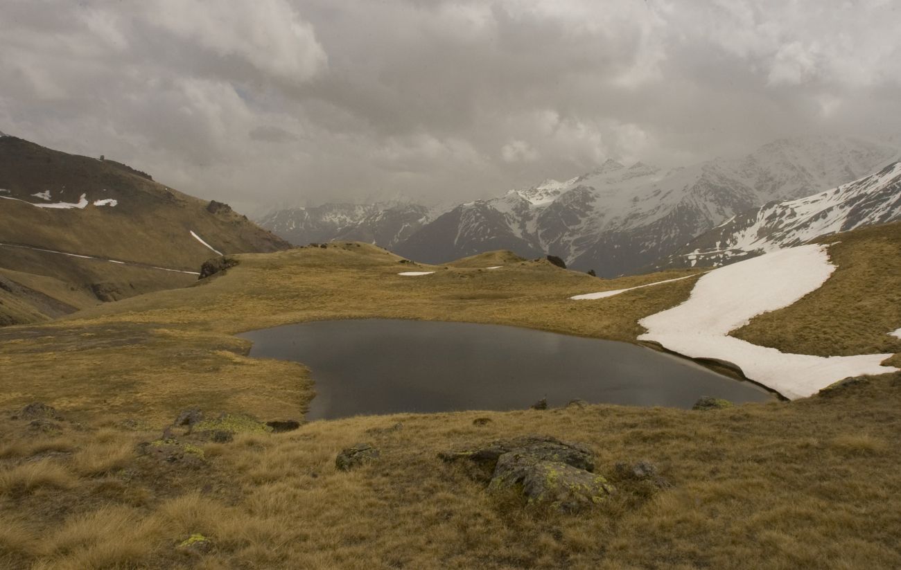 Отрог между р М. Азау и Гарабаши, image of landscape/habitat.