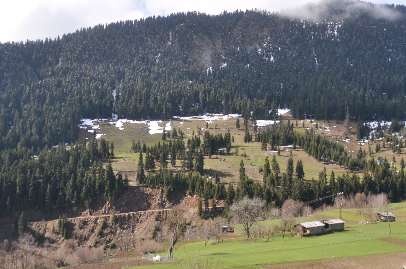 Окрестности монастыря Парехи, image of landscape/habitat.