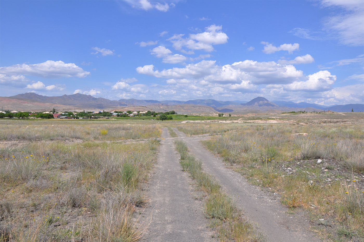 Гораванские пески, image of landscape/habitat.