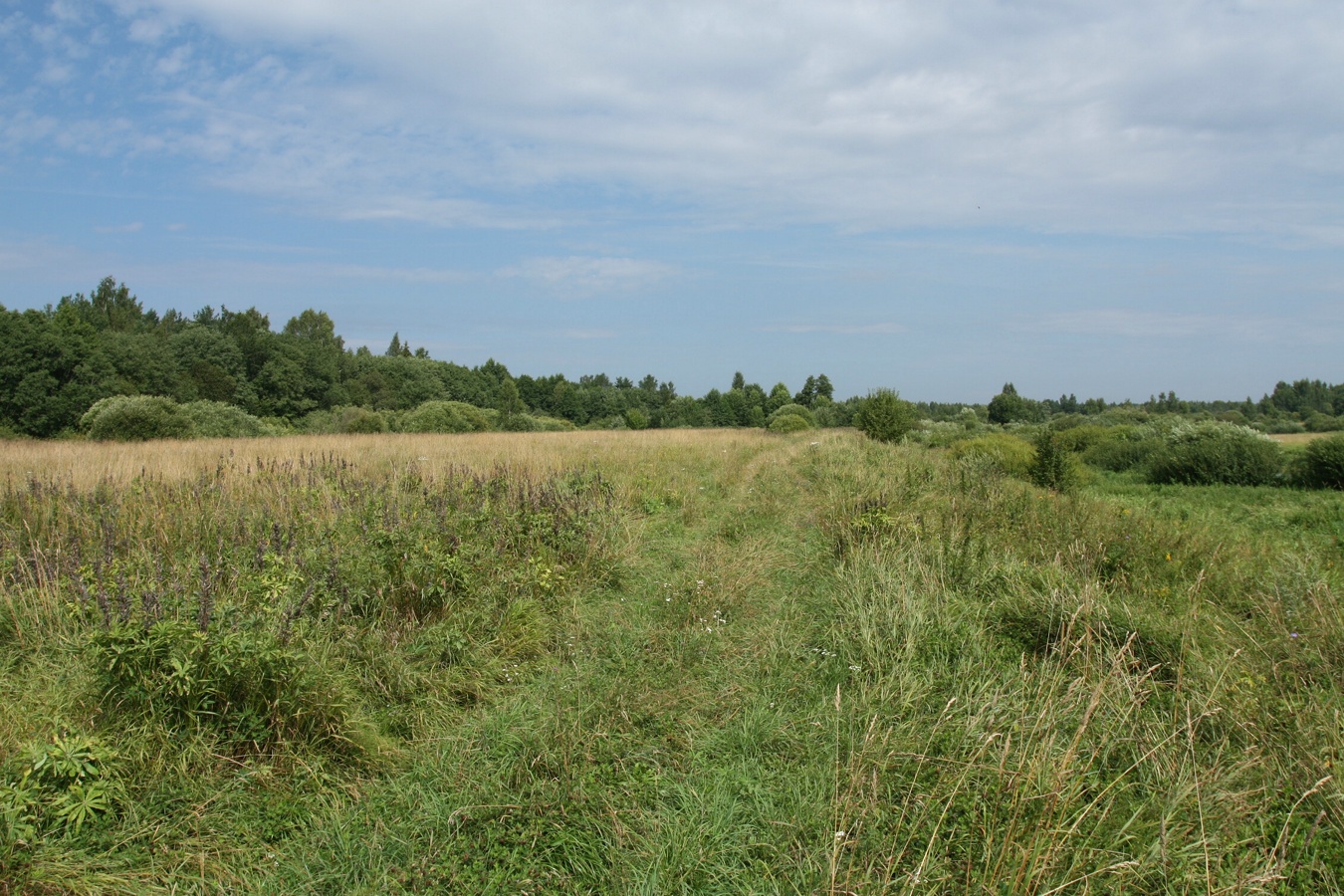 Филатова Гора, image of landscape/habitat.