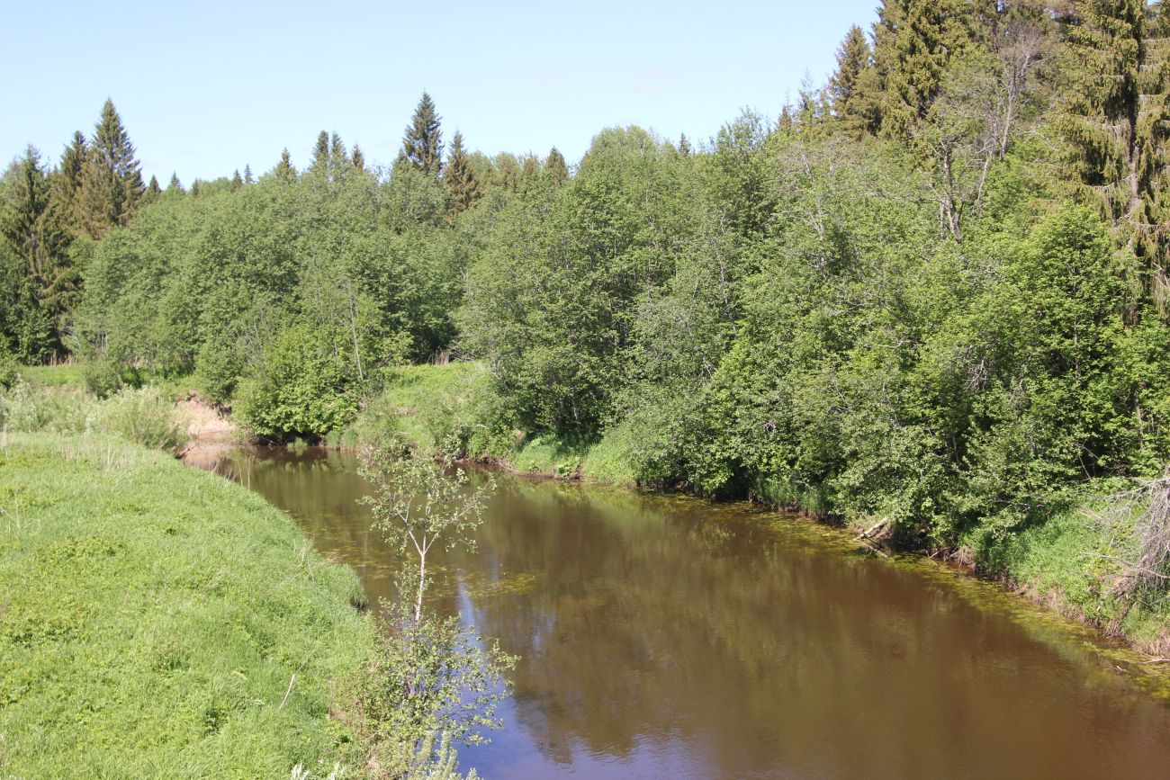 Река Вига рядом с Савино, image of landscape/habitat.