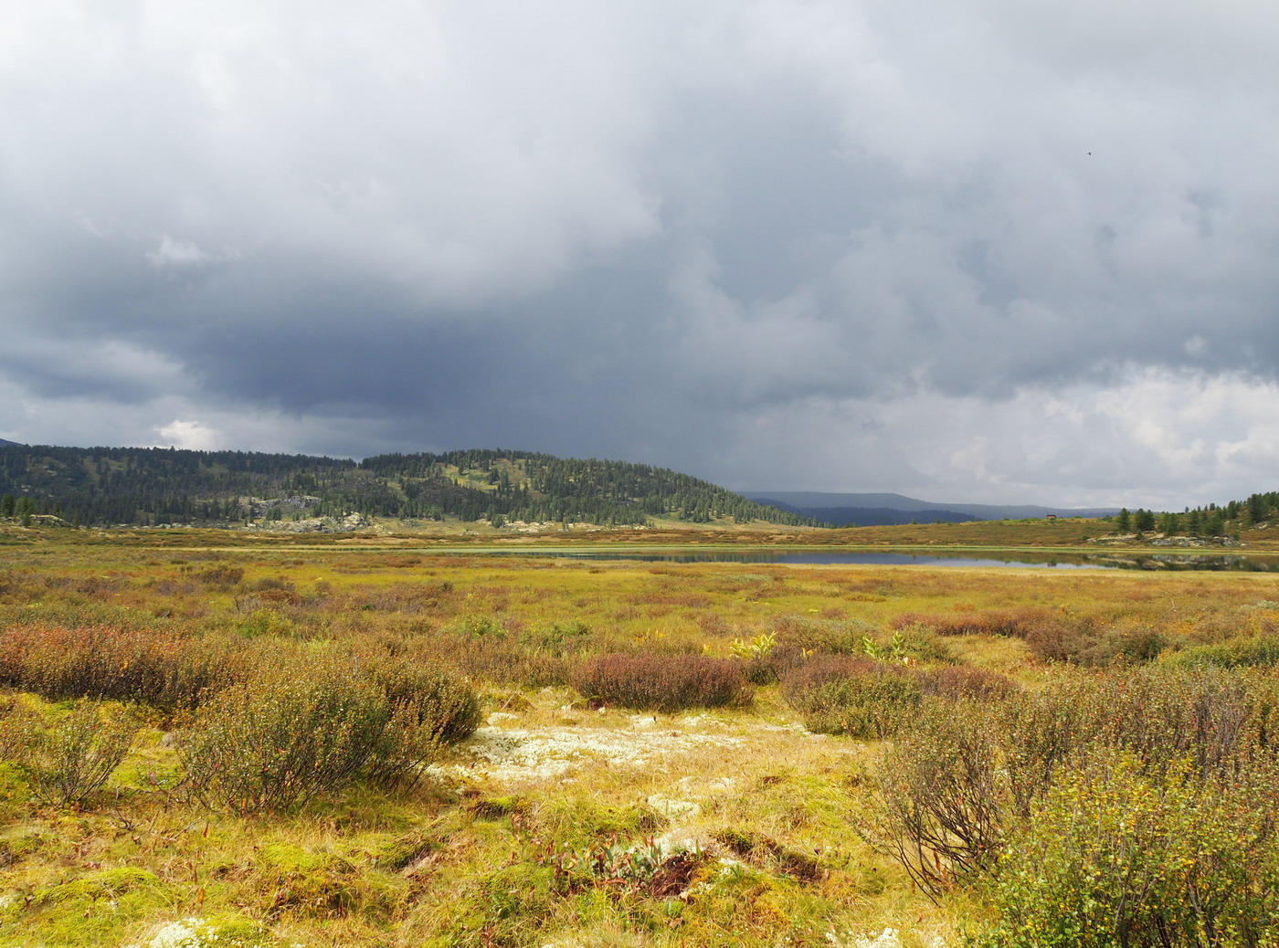 Чёрное озеро, image of landscape/habitat.