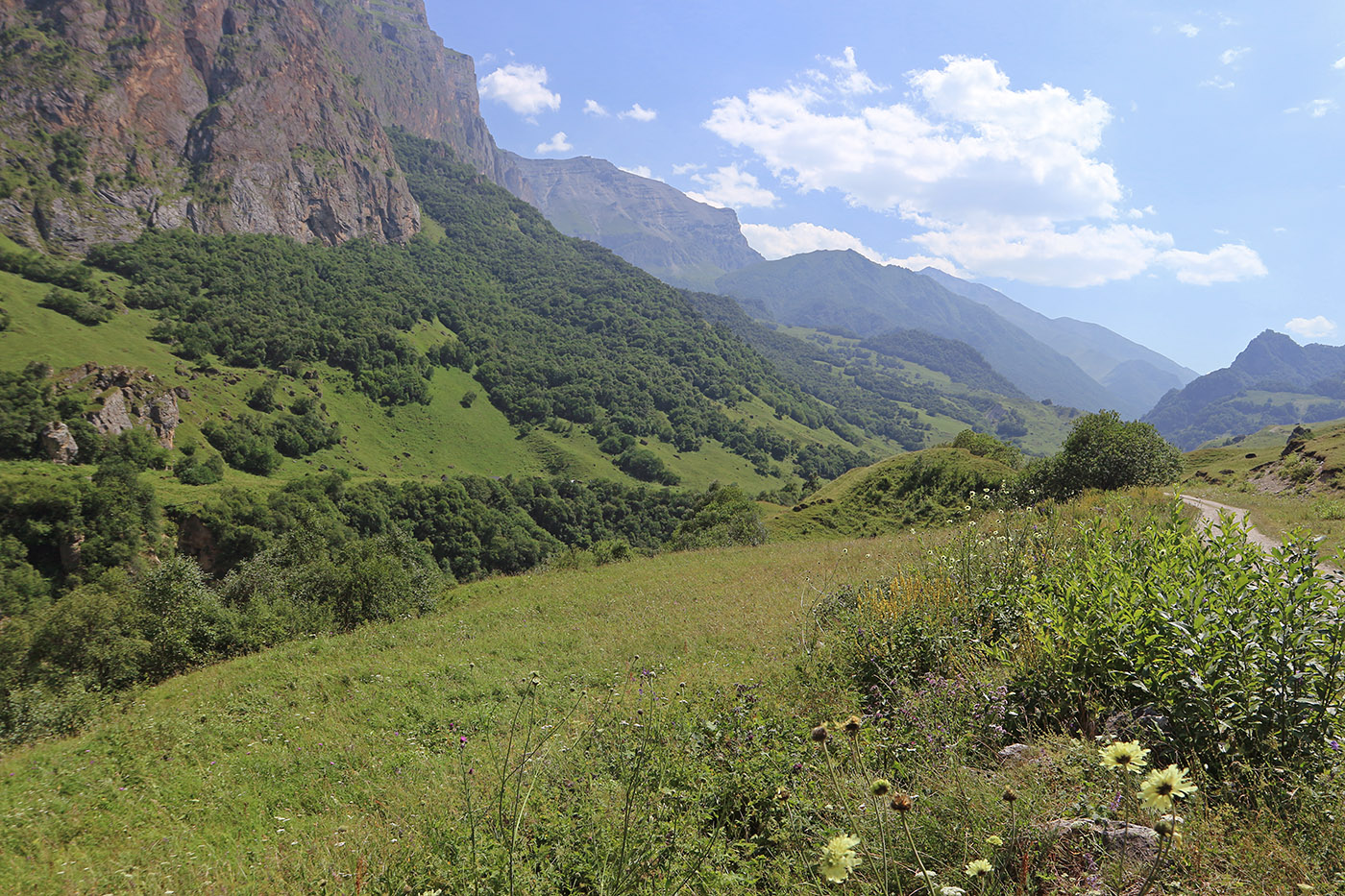 Хазнидон, image of landscape/habitat.