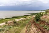 Мержаново, image of landscape/habitat.