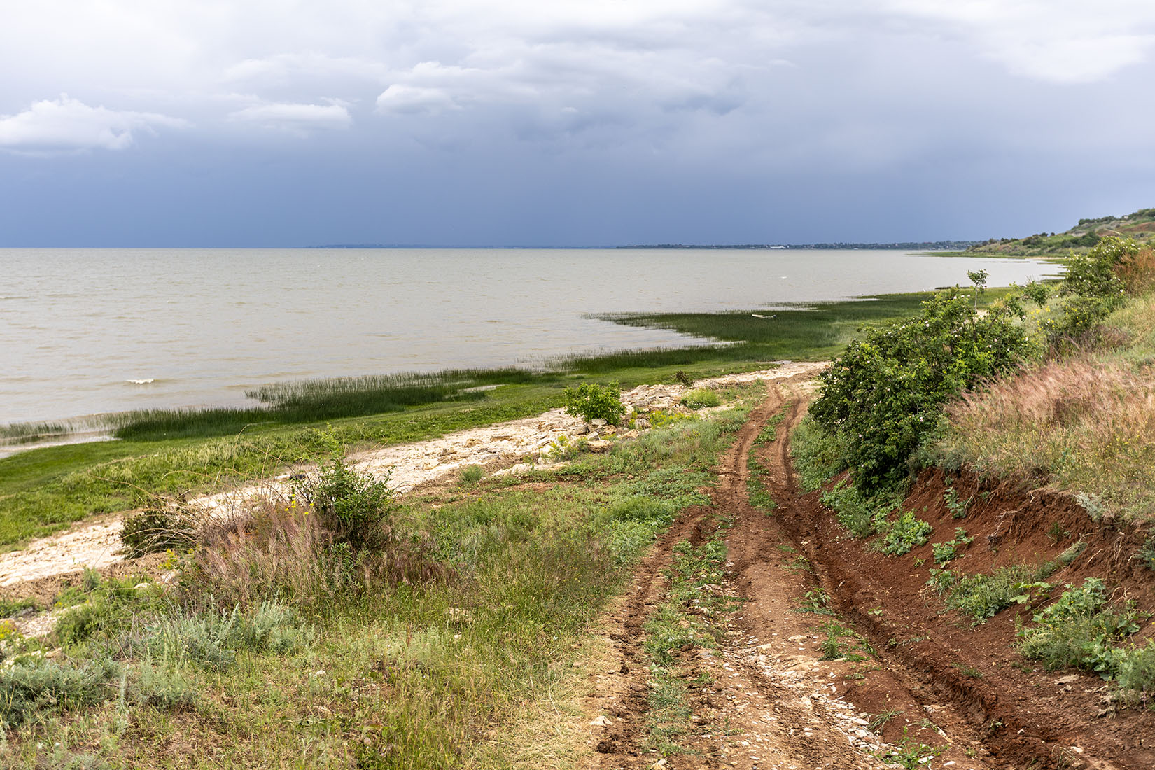 Мержаново, image of landscape/habitat.