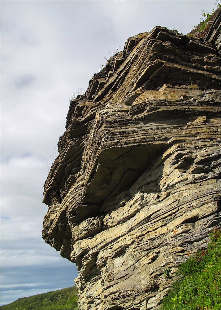 Малая Волоковая губа, image of landscape/habitat.