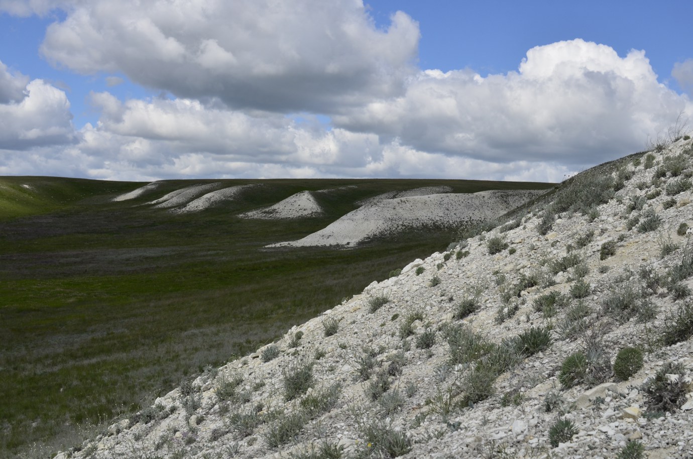 Троицкие меловые горы, image of landscape/habitat.