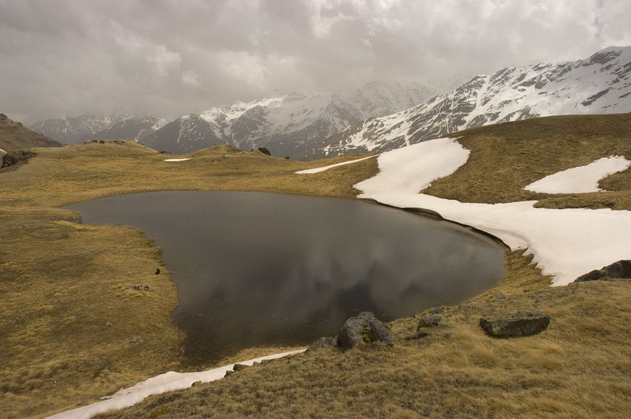 Отрог между р М. Азау и Гарабаши, image of landscape/habitat.