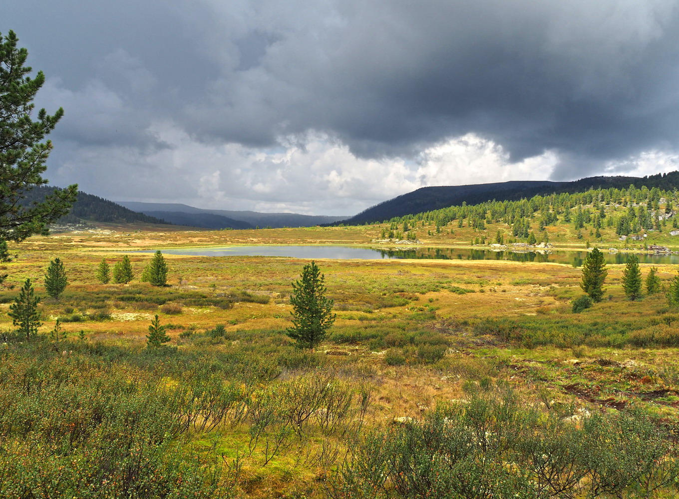 Чёрное озеро, image of landscape/habitat.